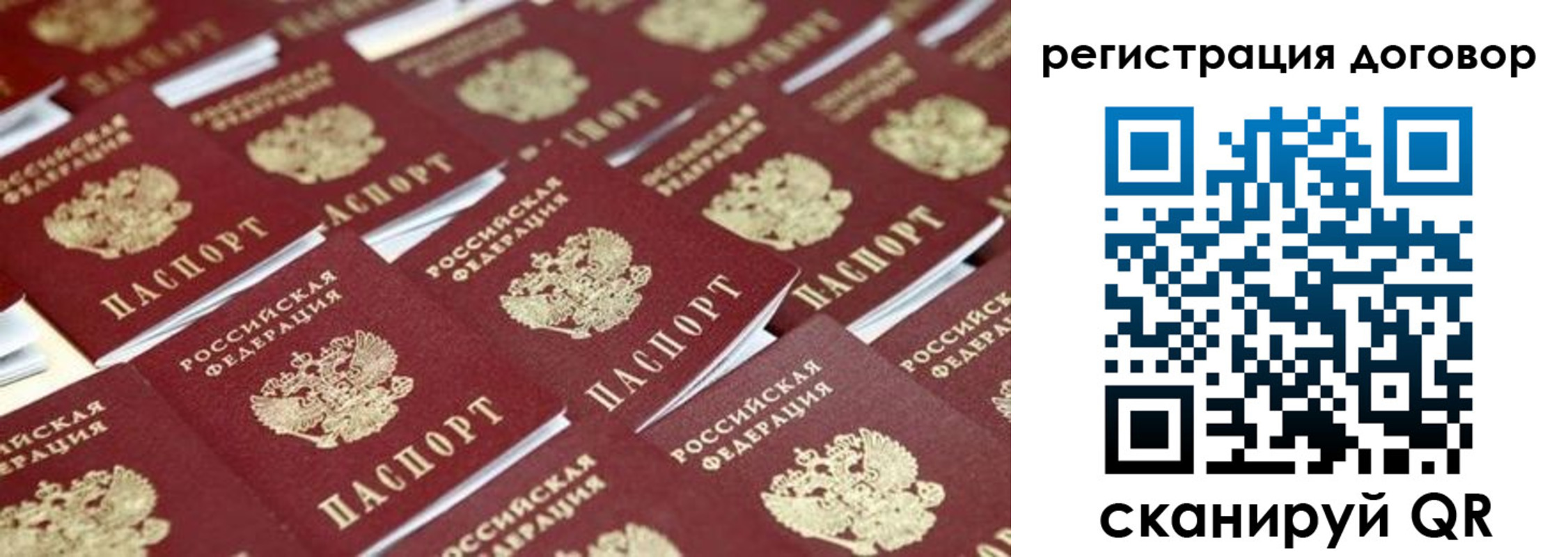 где прописаться в Новгородской области